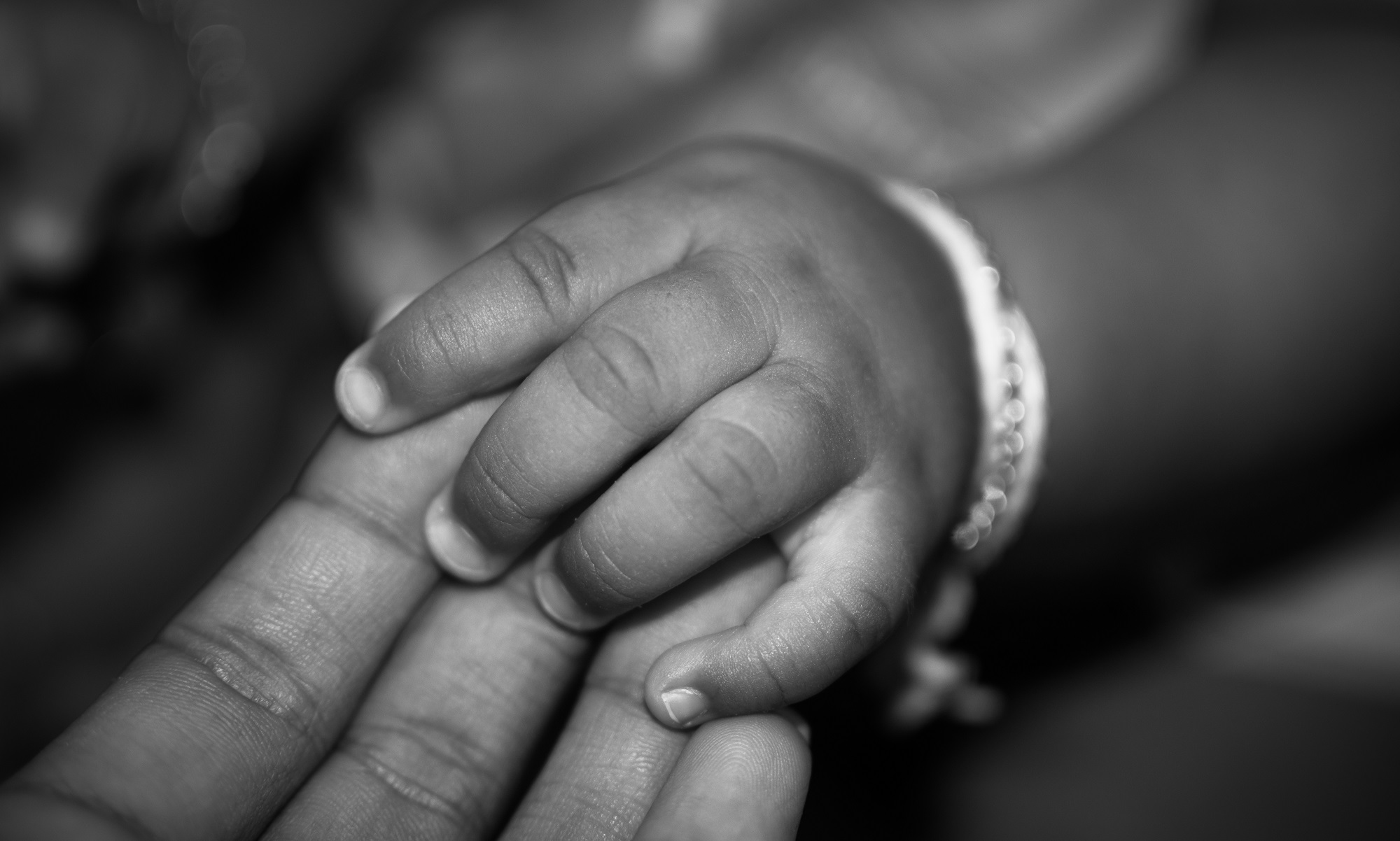 picture of a hand of a child holding adults fingers