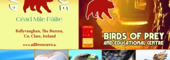 Aillwee Cave and birds of prey brochure cover