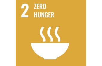 A graphic depicting a food bowl with the title: 2 Zero Hunger