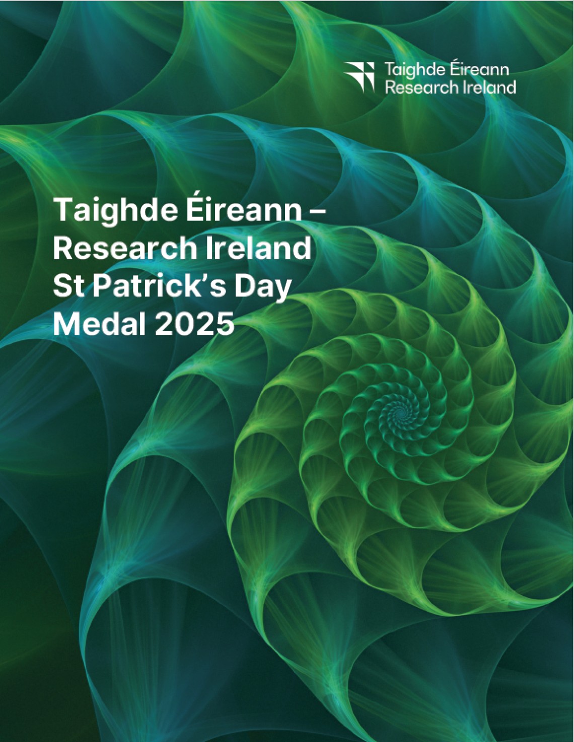 Taighde Éireann – Research Ireland graphic